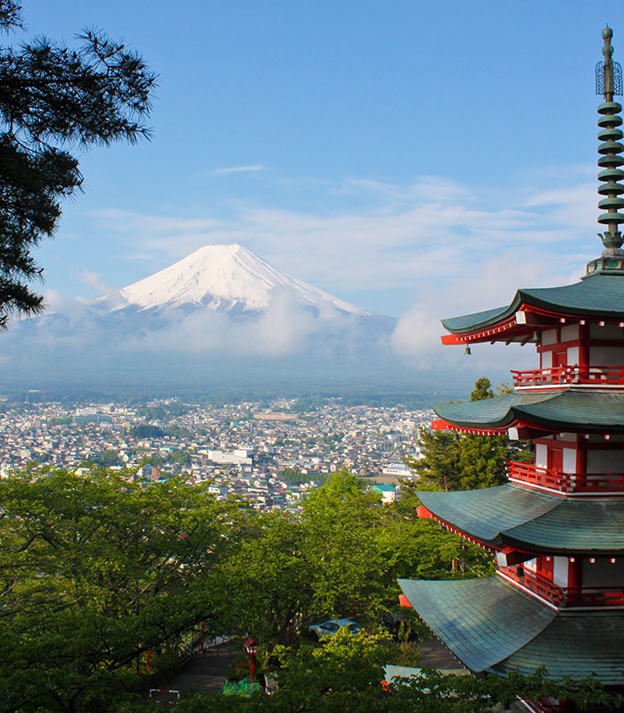 Taara Travels International