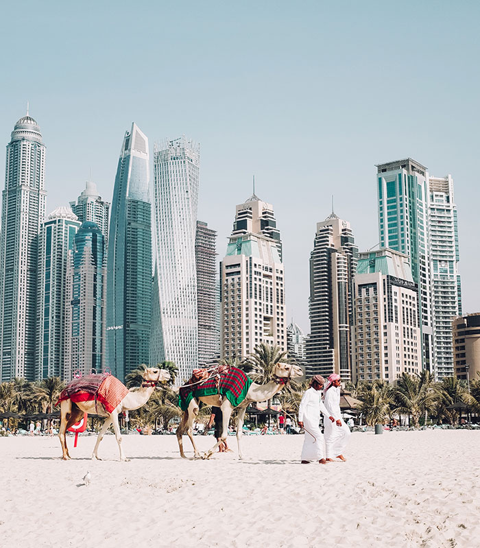 Taara Travels International